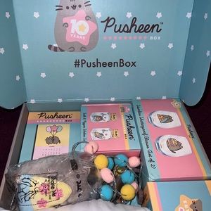 Pusheen mystery box by CultureFly
